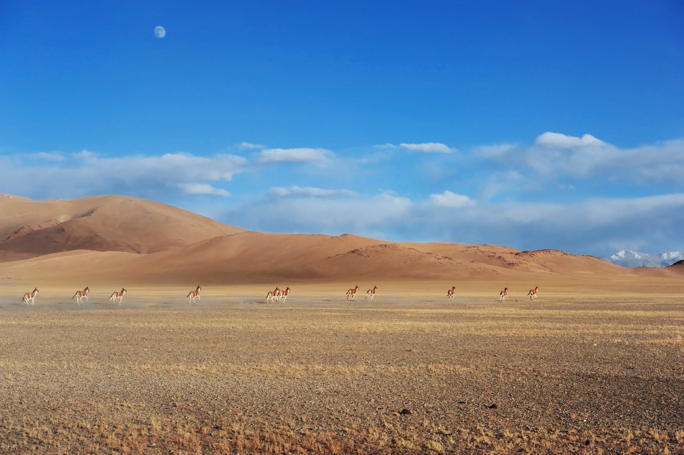 Across the desert